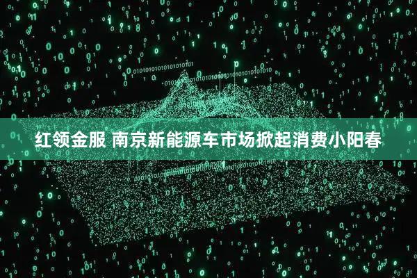 红领金服 南京新能源车市场掀起消费小阳春