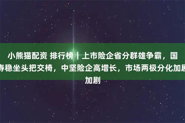 小熊猫配资 排行榜｜上市险企省分群雄争霸，国寿稳坐头把交椅，中坚险企高增长，市场两极分化加剧